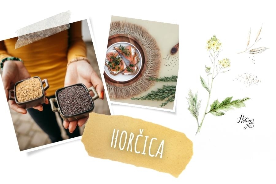 Týždeň s korením: Horčica